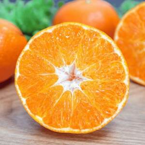 【愛媛が誇る 高級みかん 希少品種】甘平 (かんぺい) 5kg【H20-66】【1620336】