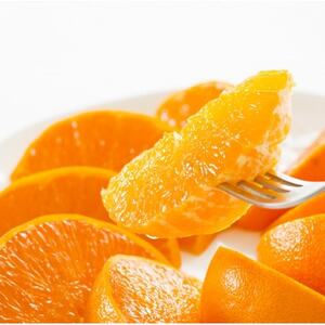 「夕やけブランド」柑橘の大トロ!【せとか】5kg【G49-79】【1621091】