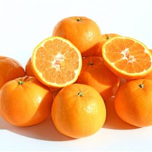 【太陽をたっぷり浴びた】はれひめ【極】4kg【C49-81】【1621793】