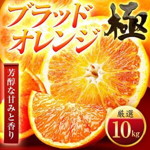 【太陽をたっぷり浴びた】ブラッドオレンジ(タロッコ)【極】10kg【H49-89】【1621801】