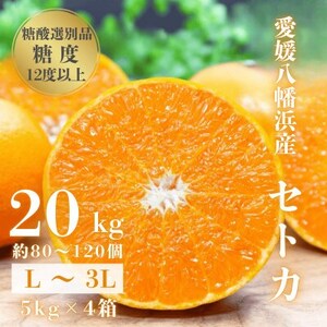 【みかんの大トロ】糖度12.0以上 酸1.4以下 糖酸選別品 愛媛セトカ 20kg【H20-78】【1620333】