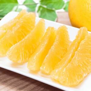 《果汁たっぷりジューシー》産地直送 愛媛八幡浜産 河内晩柑10kg【G20-80】【1621505】