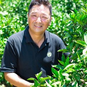 【愛媛名産】玉宝はれひめ　4kg【C64-70】【1621812】