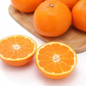 【愛媛名産】玉宝はれひめ　5kg【C64-71】【1621813】