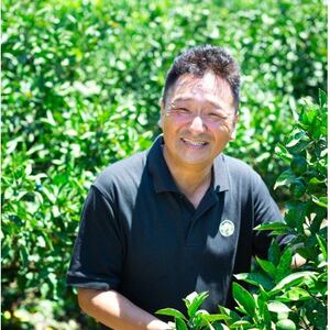 【愛媛名産】玉宝はれひめ　5kg【C64-71】【1621813】