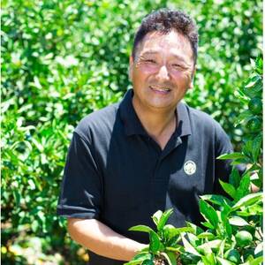 【愛媛名産】玉宝甘夏　6kg【C64-74】【1621819】