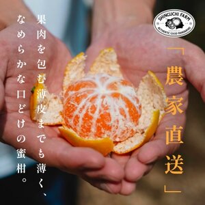 愛媛みかんの老舗厳選【小玉 みかん2kg】新口農園【A70-75】【1622614】