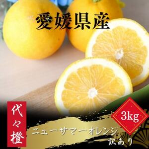【初夏の味】【訳あり】ニューサマーオレンジ 3kg【A83-36】【1623663】