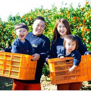 【太陽をたっぷり浴びた】デコ(不知火)【極】2kg【A49-95】【1623956】