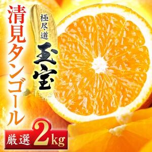 【愛媛名産】玉宝清見タンゴール 2kg【A64-81】【1623964】