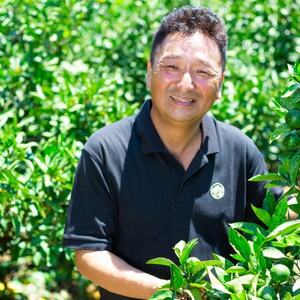 【愛媛名産】玉宝ブラッドオレンジ(タロッコ)　2kg【A64-82】【1623965】