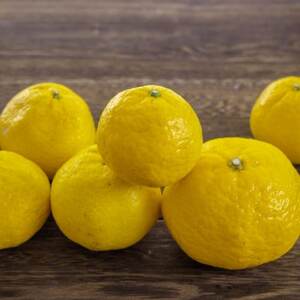 【愛媛名産】玉宝媛小春(ひめこはる)　2kg【D64-85】【1623968】