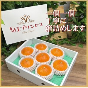 柑橘界のサラブレット!!「まどんな」と「甘平」を親に持つ!! 「紅プリンセス」2キロ【D39-76】【配送不可地域:離島】【1621674】