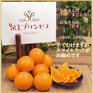 柑橘界のサラブレット!!「まどんな」と「甘平」を親に持つ!! 「紅プリンセス」3キロ【F39-77】【配送不可地域:離島】【1621866】