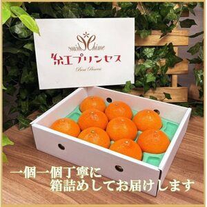 柑橘界のサラブレット!!「まどんな」と「甘平」を親に持つ!! 「紅プリンセス」3キロ【F39-77】【配送不可地域:離島】【1621866】