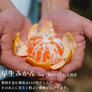 【発送月固定定期便】「時期による味の違いを楽しむ」愛媛みかんの旬を食べ比べ【F70-81】全2回【4067806】