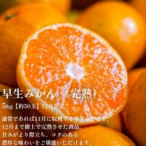 【発送月固定定期便】「時期による味の違いを楽しむ」愛媛みかんの旬を食べ比べ【F70-81】全2回【4067806】