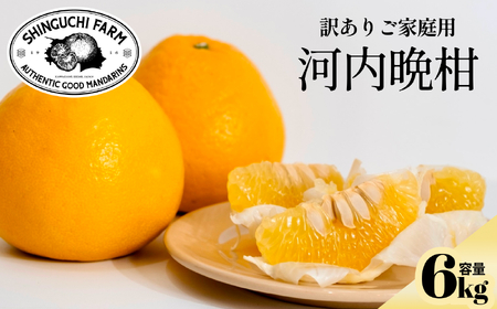 【太陽の恵みをギュッと凝縮】河内晩柑 訳あり 6kg 愛媛県産【C70-83】【1625557】
