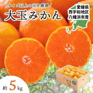 大玉サイズのみ厳選!西宇和地区八幡浜産 愛媛みかん5kg【訳あり】【A25-219】【1626146】