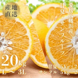 甘夏&サンフルーツ20kg (各10kg)【H20-84】【1625127】