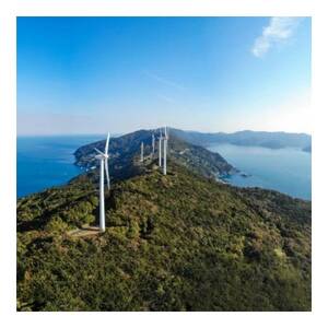 甘夏&サンフルーツ20kg (各10kg)【H20-84】【1625127】