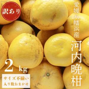 《果汁たっぷりジューシー》産地直送 愛媛八幡浜産 訳あり 河内晩柑 2kg【A20-88】【1625427】