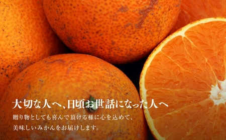 【三つ星ブランド】訳あり 星乃まどんな(2kg)【C45-91】【1625773】