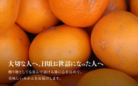 【訳あり】星乃せとか 柑橘の大トロ(2kg)【C45-92】【1625775】