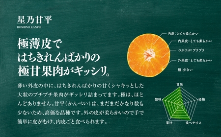 【訳あり】星乃みかん園の甘平(3.5kg)【D45-95】【1625779】