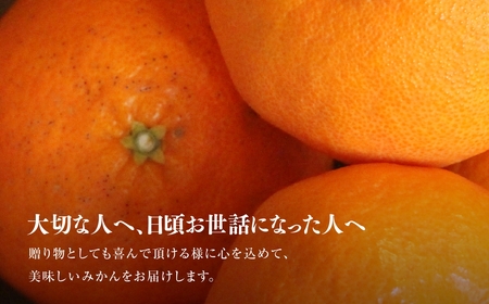 【訳あり】星乃みかん園の甘平(3.5kg)【D45-95】【1625779】