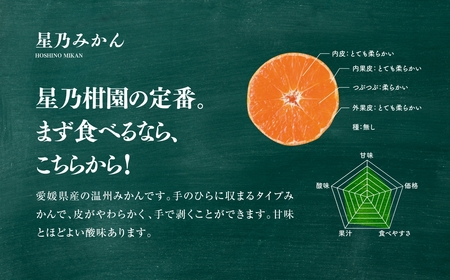 【三つ星ブランド】星乃みかん(3kg)【A45-96】【1625777】
