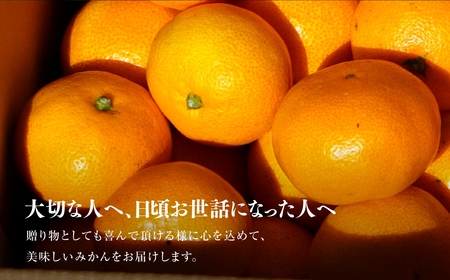 【三つ星ブランド】星乃みかん(3kg)【A45-96】【1625777】