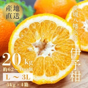 【爽やか香りと柔らかジューシーな果肉】愛媛八幡浜産 宮内伊予柑 20kg【H20-95】【1625452】