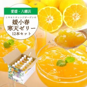 ゲル化剤・pH調整剤不使用!愛媛産 媛小春寒天ゼリー 12本セット【D25-227】【1629427】