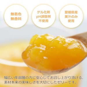 ゲル化剤・pH調整剤不使用!愛媛産 媛小春寒天ゼリー 12本セット【D25-227】【1629427】