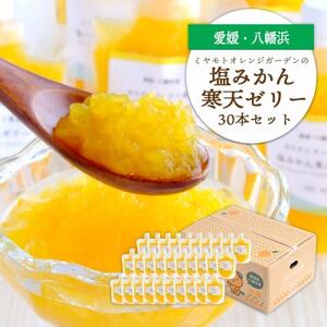 ゲル化剤・pH調整剤不使用!愛媛産 塩みかん寒天ゼリー 30本セット【H25-241】【1630033】