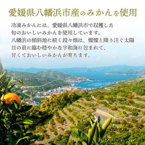 旬の愛媛みかんをまるごと冷凍!皮つき冷凍みかん 3kg【D25-245】【配送不可地域：離島】【1631394】