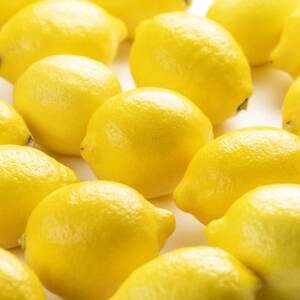 【香り、深まる。】極の完熟レモン 4kg【C64-90】【1636545】