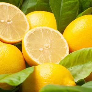 【まろやか果汁、やさしい酸味。】愛媛育ちの完熟レモン 4kg【C49-103】【1636527】