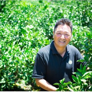 【発送月固定定期便】「蜜時(みつどき)便り」みかんやまどんな、甘平、せとかなど【H64-93】全6回【4069713】