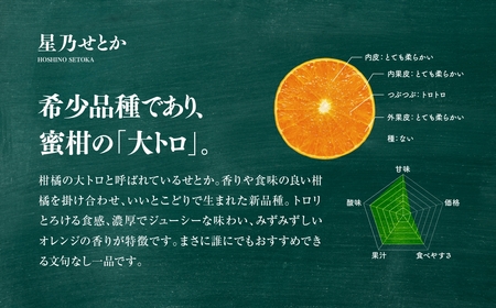 【訳あり】星乃せとか 柑橘の大トロ(5kg)【C45-97】【1650682】