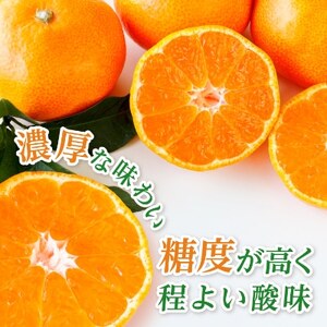 三代目がつくる高品質【頂みかん】3kg【1181950】