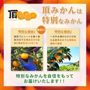 三代目がつくる高品質【頂みかん】10kg【1181951】