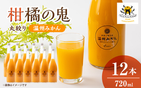 温州みかんジュース(ストレート)720ml×12本【H56-81】【1668640】