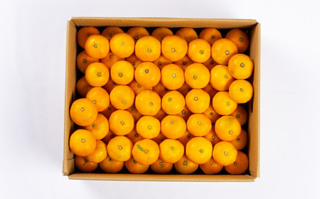 八幡浜産　小玉みかん　7kg　箱パンパン!【D56-89】【1668891】