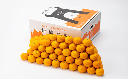 八幡浜産　小玉みかん　7kg　箱パンパン!【D56-89】【1668891】