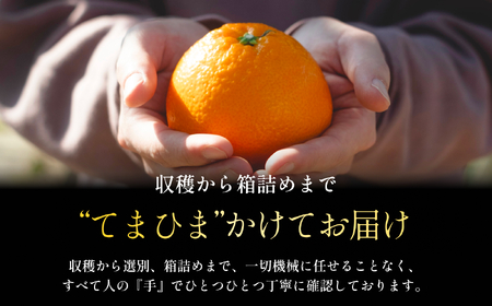 老舗農家が見極めたプレミアム【伊予柑3kg】【愛媛県川上産】【C70-94】【1671254】
