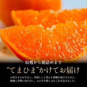 【数量限定】老舗農家が見極めたプレミアム【せとか5kg】柑橘の大トロ【F70-98】【1671354】