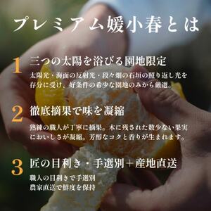 【数量限定】老舗農家が見極めたプレミアム【媛小春2kg】 愛媛県新品種【C70-99】【1671387】