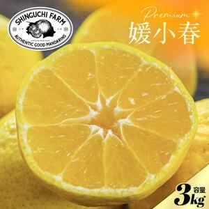 【数量限定】老舗農家が見極めたプレミアム【媛小春3kg】 愛媛県新品種【D70-100】【1671397】